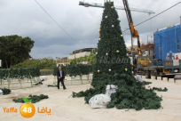 يافا: البلدية تمول إضاءة شجرة الميلاد بـ80 ألف شيكل 